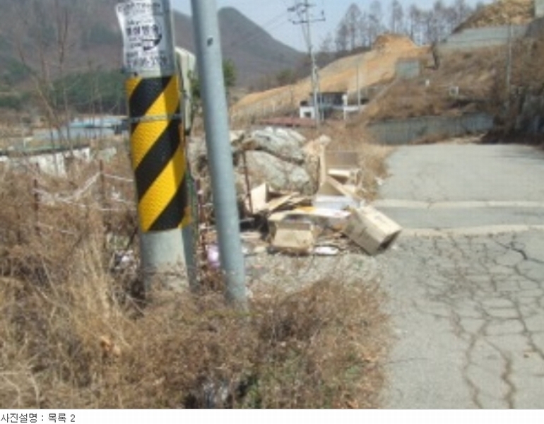 사진 12