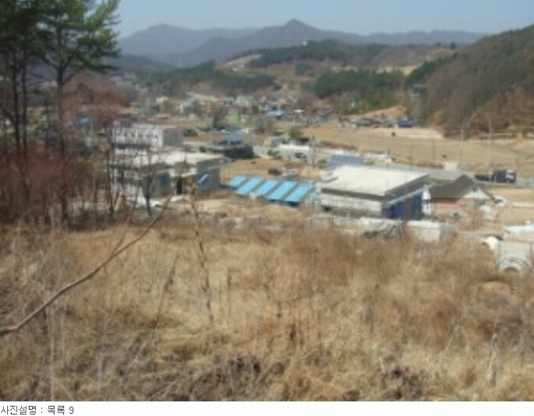 사진 31