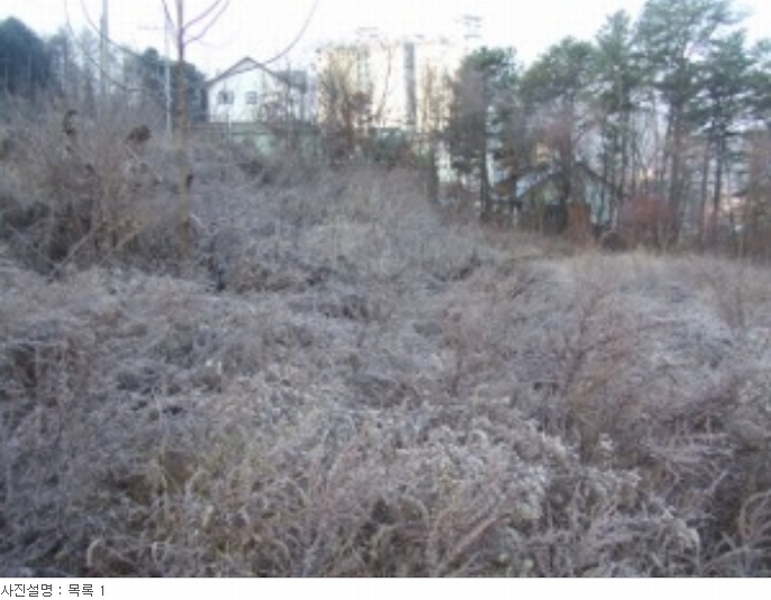사진 36