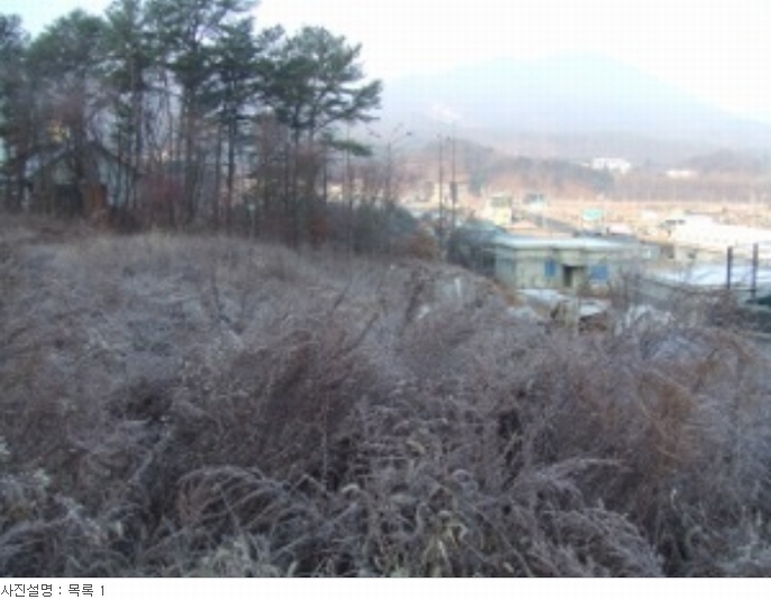 사진 37