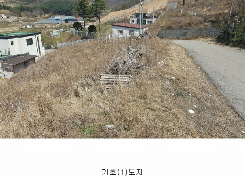사진 4