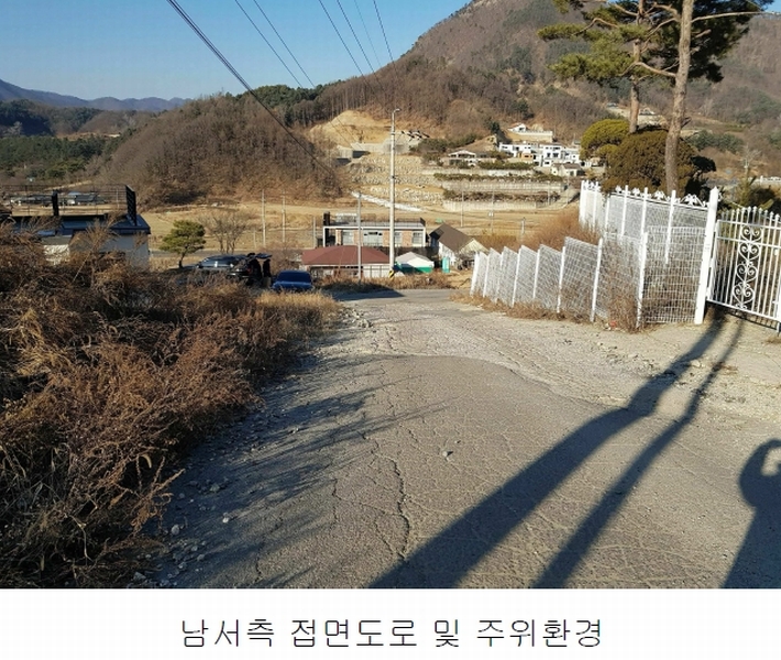 사진 41