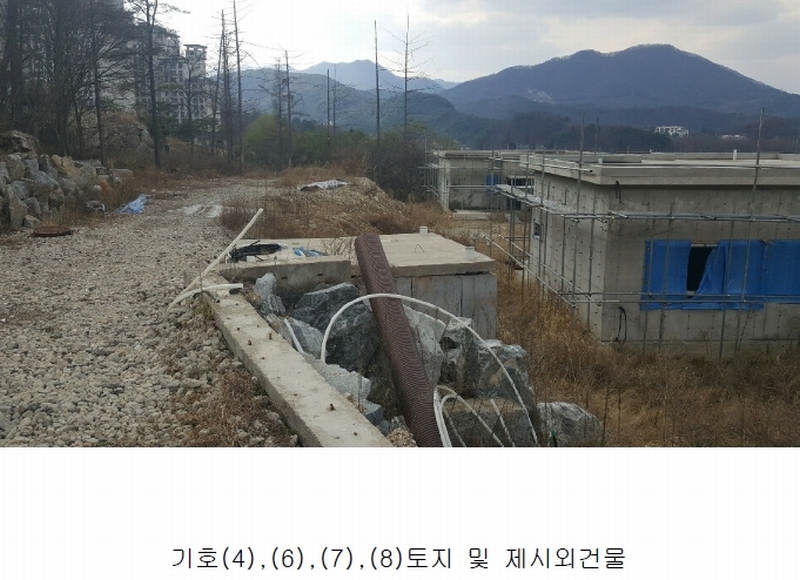 사진 5