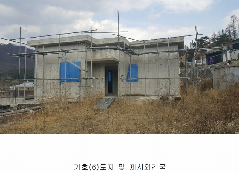 사진 8
