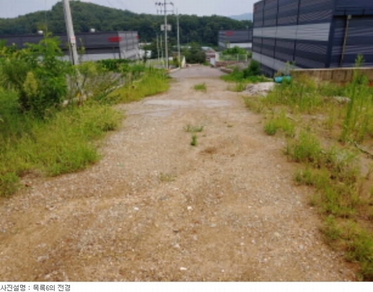 사진 30