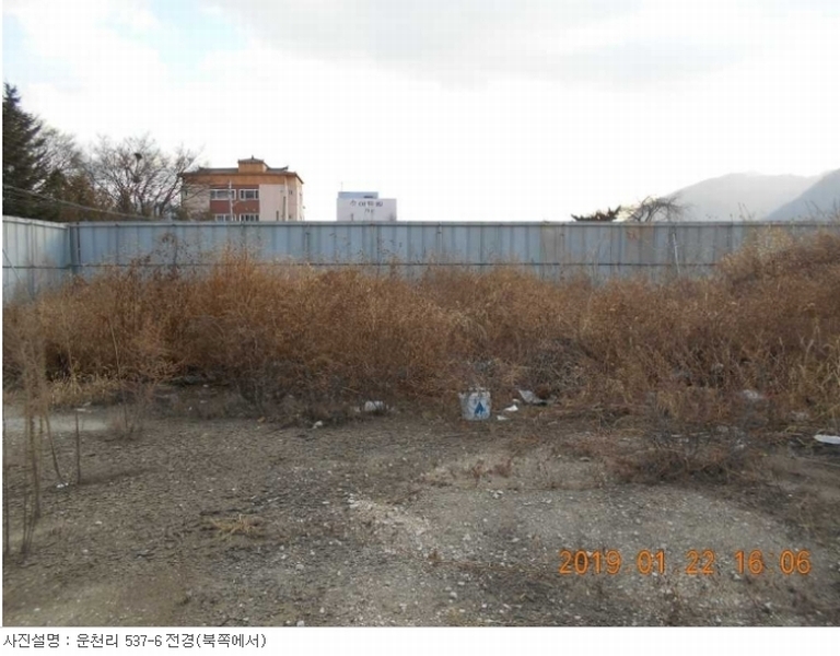 사진 5