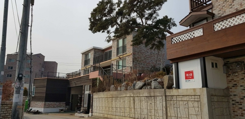 사진 2