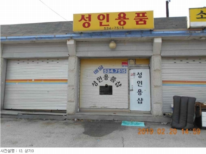 사진 15