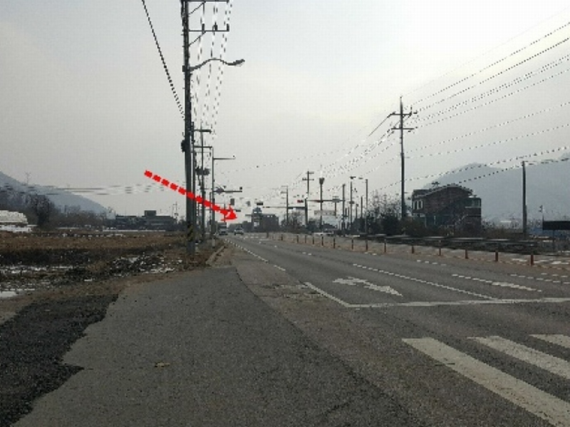 사진 3