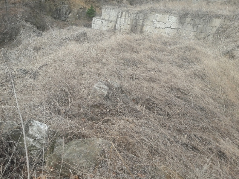 2019타경74016