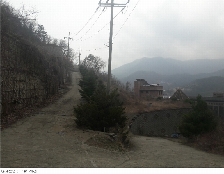 사진 6