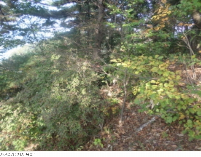 사진 6
