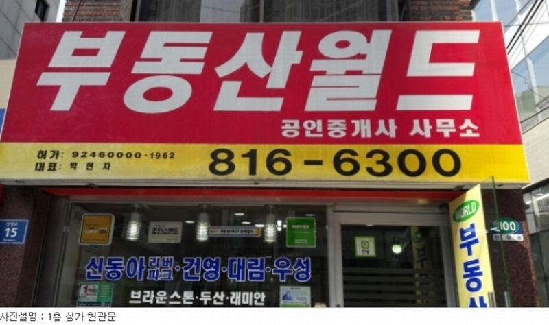 사진 15