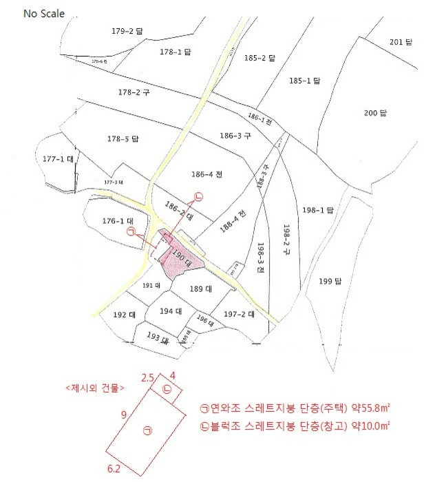 사진 10