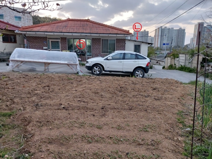 사진 7
