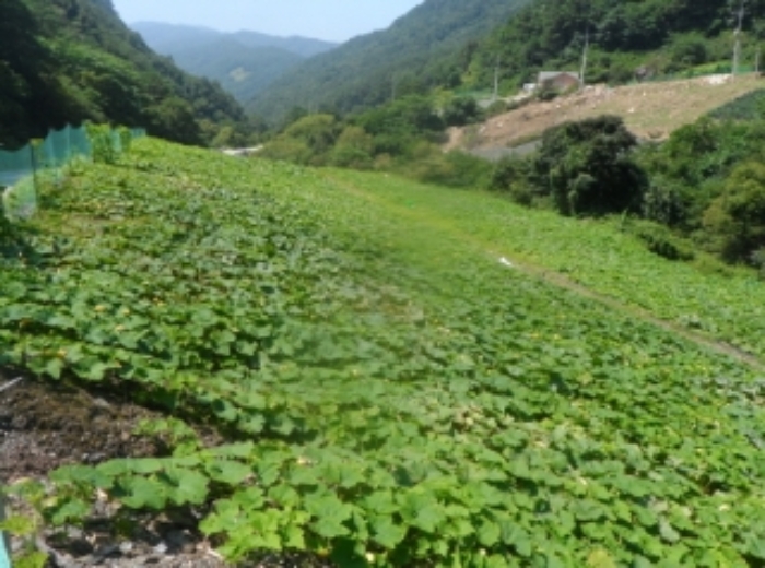 2020타경1989(1)