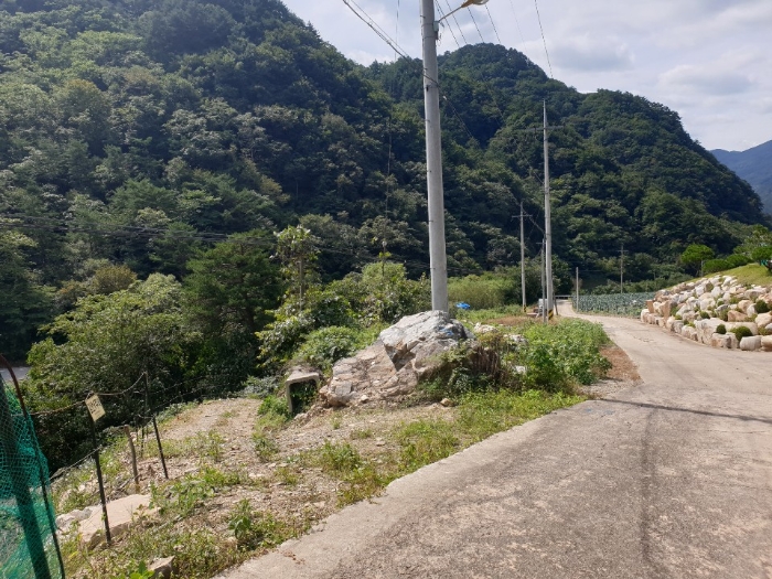 사진 10