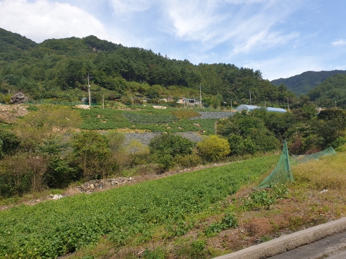 사진 8