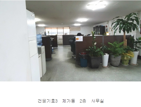 사진 6