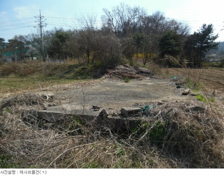 사진 7