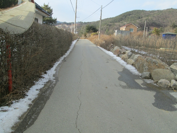 사진 16