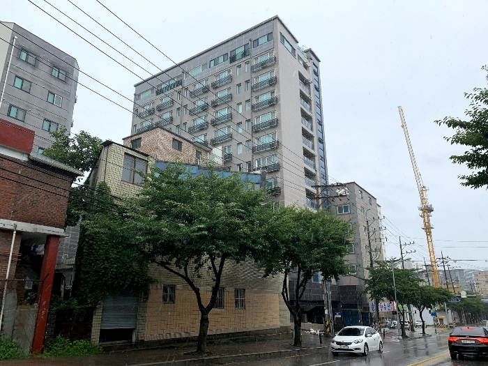 사진 4