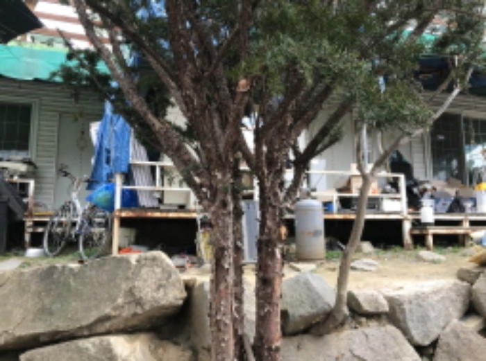 사진 13