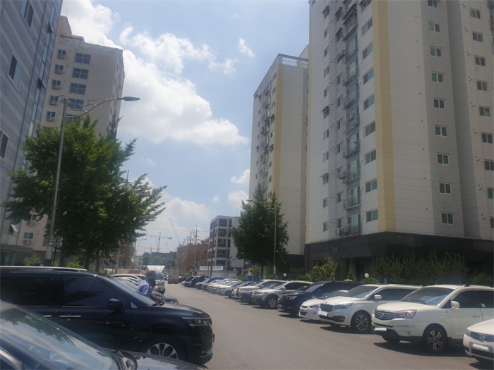 사진 10