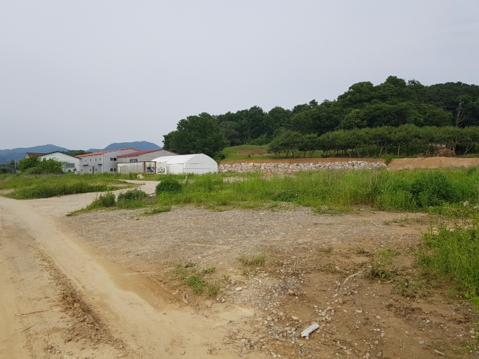 사진 12