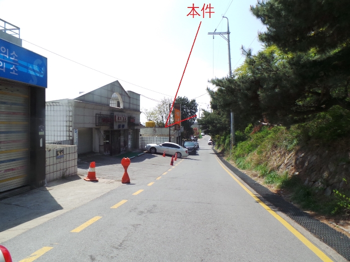 사진 15