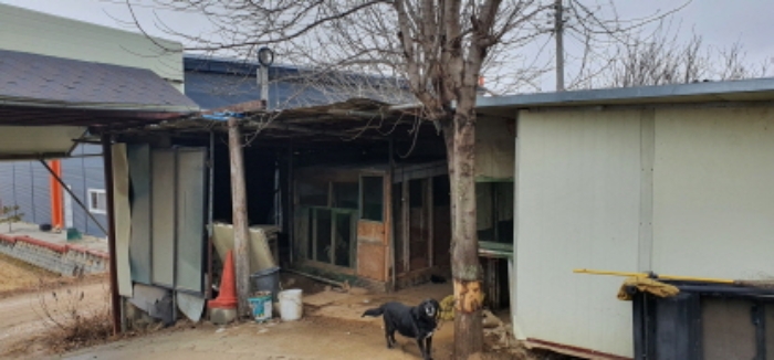 사진 9