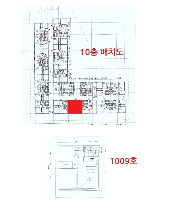 사진 13