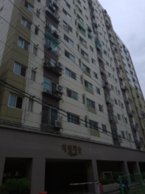 사진 3