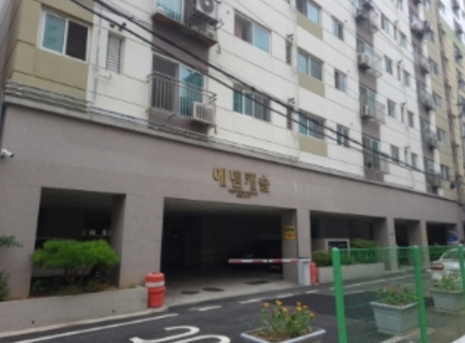 사진 5