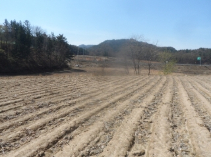 2021타경532(3)