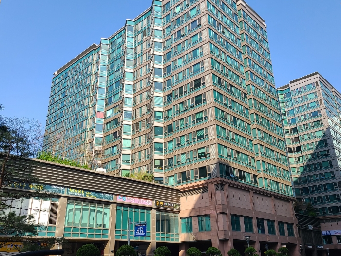 사진 5