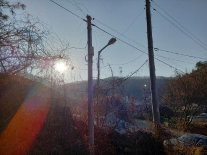 2021타경65
