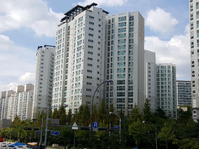 사진 10