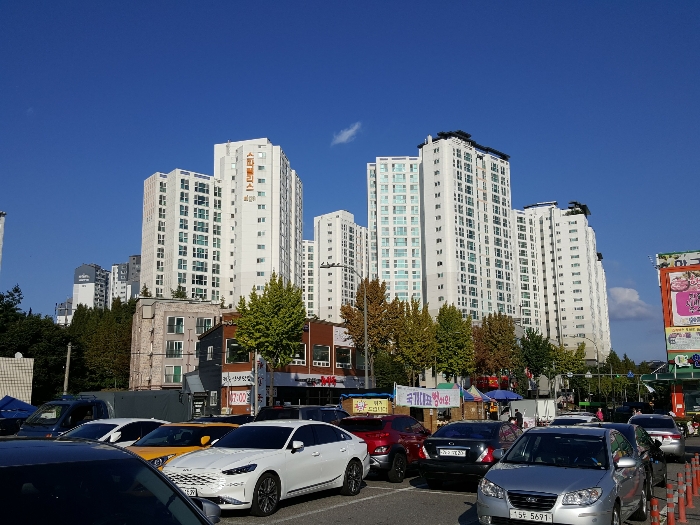 사진 6