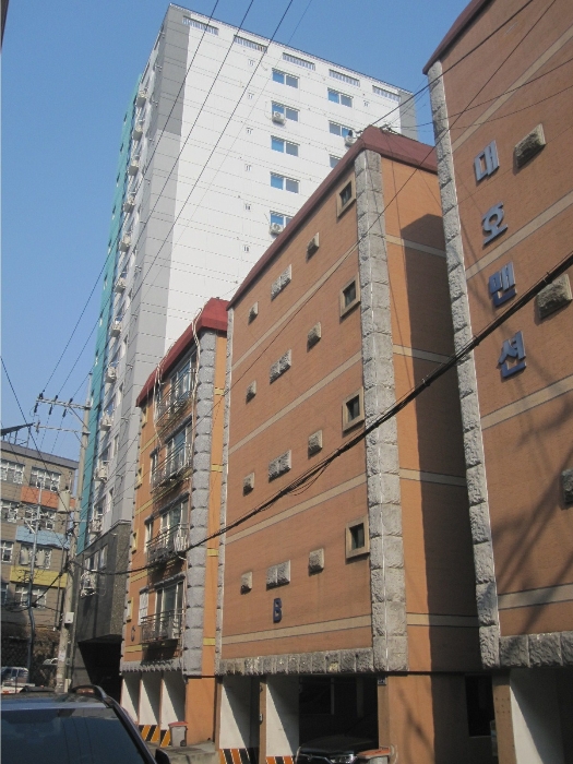 사진 9