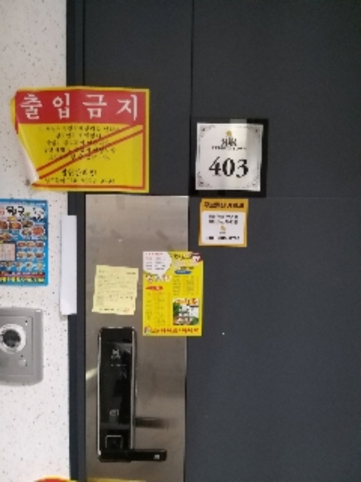 사진 3