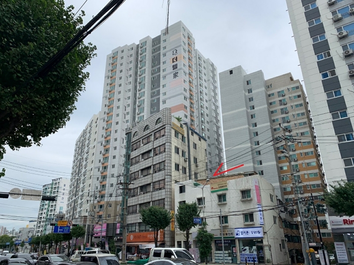 사진 6