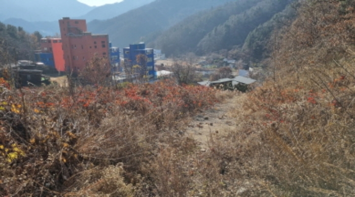 2022타경2954