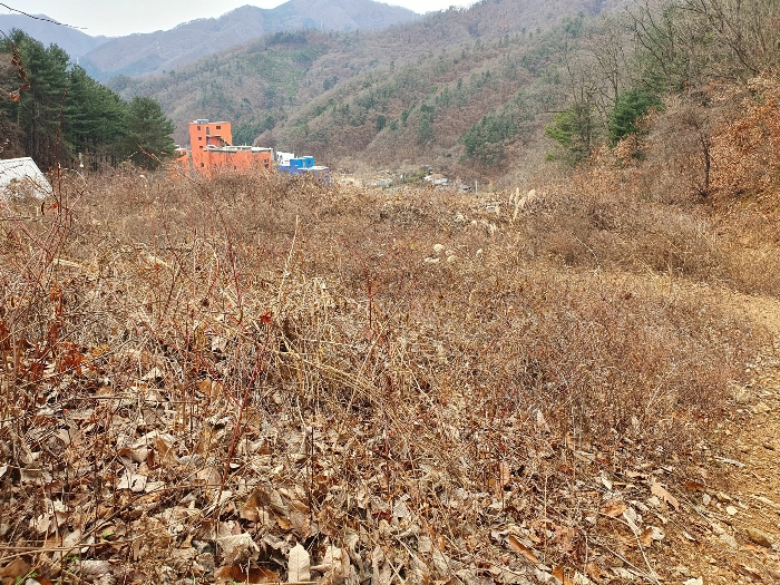 사진 10