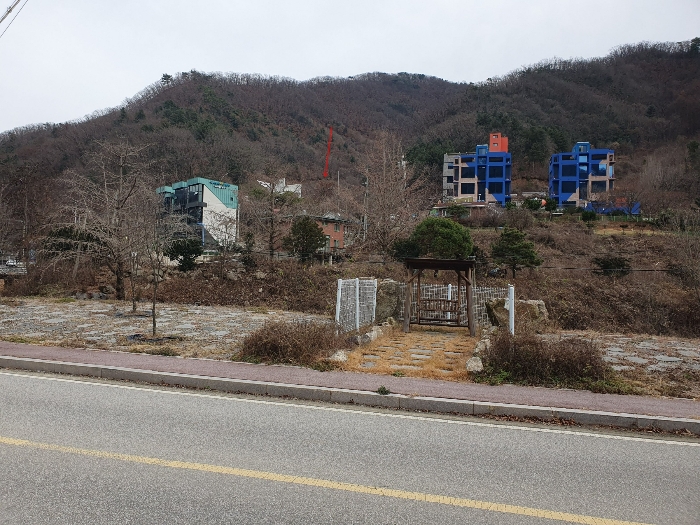 사진 12