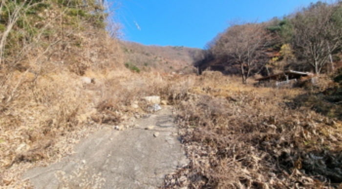 사진 3