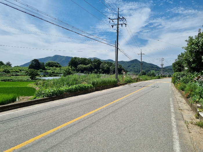 사진 5