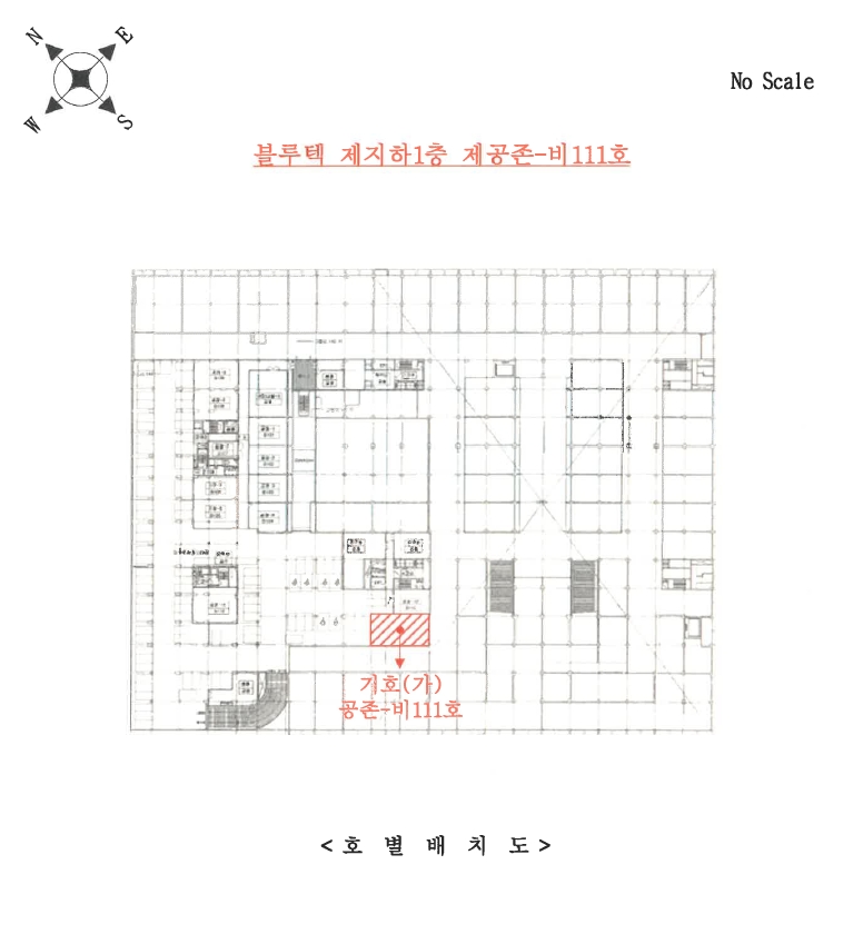 사진 10