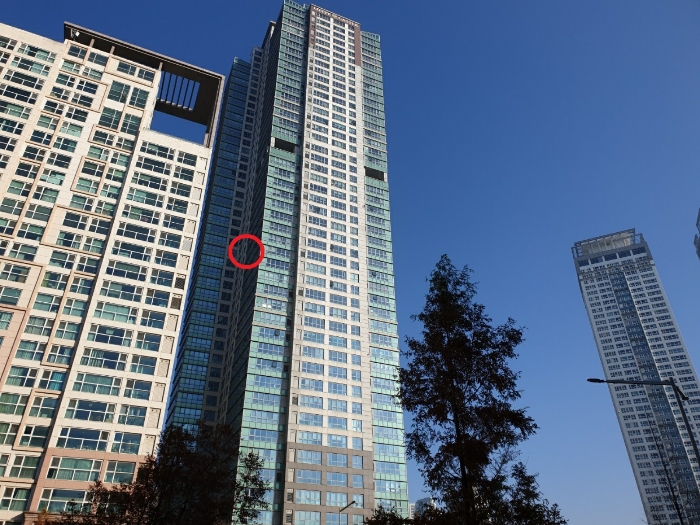 사진 5