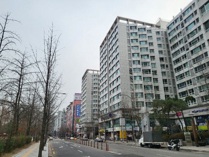 사진 8